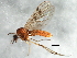  ( - 08TTML-1975)  @14 [ ] CreativeCommons - Attribution (2010) CBG Photography Group Centre for Biodiversity Genomics