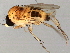  ( - 08TTML-1996)  @13 [ ] CreativeCommons - Attribution (2010) CBG Photography Group Centre for Biodiversity Genomics