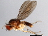  ( - 08TTML-2002)  @13 [ ] CreativeCommons - Attribution (2010) CBG Photography Group Centre for Biodiversity Genomics