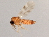  ( - 08TTML-2014)  @13 [ ] CreativeCommons - Attribution (2010) CBG Photography Group Centre for Biodiversity Genomics