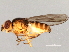  ( - 08TTML-2046)  @13 [ ] CreativeCommons - Attribution (2010) CBG Photography Group Centre for Biodiversity Genomics