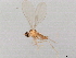  ( - 08TTML-2073)  @12 [ ] CreativeCommons - Attribution (2010) CBG Photography Group Centre for Biodiversity Genomics