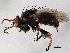  ( - 08TTML-2117)  @14 [ ] CreativeCommons - Attribution (2010) CBG Photography Group Centre for Biodiversity Genomics
