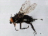  ( - 08TTML-2139)  @13 [ ] CreativeCommons - Attribution (2010) CBG Photography Group Centre for Biodiversity Genomics