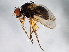  ( - 08TTML-2141)  @13 [ ] CreativeCommons - Attribution (2010) CBG Photography Group Centre for Biodiversity Genomics