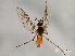  ( - 08TTML-2174)  @13 [ ] CreativeCommons - Attribution (2010) CBG Photography Group Centre for Biodiversity Genomics