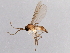  ( - 08TTML-2188)  @11 [ ] CreativeCommons - Attribution (2010) CBG Photography Group Centre for Biodiversity Genomics