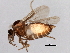  ( - 08TTML-2204)  @13 [ ] CreativeCommons - Attribution (2010) CBG Photography Group Centre for Biodiversity Genomics