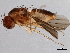  ( - 08TTML-2217)  @13 [ ] CreativeCommons - Attribution (2010) CBG Photography Group Centre for Biodiversity Genomics