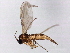  ( - 08TTML-2263)  @14 [ ] CreativeCommons - Attribution (2010) CBG Photography Group Centre for Biodiversity Genomics