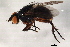  ( - 08TTML-2396)  @12 [ ] CreativeCommons - Attribution (2010) CBG Photography Group Centre for Biodiversity Genomics