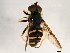  ( - 08TTML-2439)  @13 [ ] CreativeCommons - Attribution (2010) CBG Photography Group Centre for Biodiversity Genomics