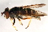  ( - 08TTML-2441)  @13 [ ] CreativeCommons - Attribution (2010) CBG Photography Group Centre for Biodiversity Genomics