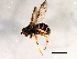  ( - 08TTML-2457)  @13 [ ] CreativeCommons - Attribution (2010) CBG Photography Group Centre for Biodiversity Genomics