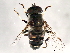  ( - 08TTML-2461)  @14 [ ] CreativeCommons - Attribution (2010) CBG Photography Group Centre for Biodiversity Genomics