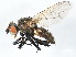  ( - 08TTML-2512)  @14 [ ] CreativeCommons - Attribution (2010) CBG Photography Group Centre for Biodiversity Genomics