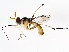  ( - 08TTML-2539)  @14 [ ] CreativeCommons - Attribution (2010) CBG Photography Group Centre for Biodiversity Genomics