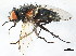  ( - 08TTML-2543)  @14 [ ] CreativeCommons - Attribution (2010) CBG Photography Group Centre for Biodiversity Genomics