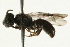  ( - 08TTML-0484)  @13 [ ] CreativeCommons - Attribution (2009) Unspecified Centre for Biodiversity Genomics