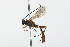  ( - 08TTML-0419)  @13 [ ] CreativeCommons - Attribution (2009) Unspecified Centre for Biodiversity Genomics