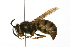  ( - 08TTML-0462)  @14 [ ] CreativeCommons - Attribution (2009) Unspecified Centre for Biodiversity Genomics