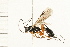 ( - 08TTML-0029)  @13 [ ] CreativeCommons - Attribution (2008) Unspecified Centre for Biodiversity Genomics