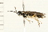  ( - 08TTML-0088)  @12 [ ] CreativeCommons - Attribution (2008) Unspecified Centre for Biodiversity Genomics