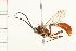  ( - 08TTML-0194)  @14 [ ] CreativeCommons - Attribution (2008) Unspecified Centre for Biodiversity Genomics