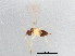  ( - BIOUG00826-H09)  @12 [ ] CreativeCommons - Attribution (2011) CBG Photography Group Centre for Biodiversity Genomics