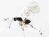  ( - BIOUG00837-F06)  @12 [ ] CreativeCommons - Attribution (2011) CBG Photography Group Centre for Biodiversity Genomics