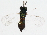  ( - BIOUG00837-G10)  @11 [ ] CreativeCommons - Attribution (2011) CBG Photography Group Centre for Biodiversity Genomics