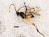  ( - BIOUG00827-E09)  @12 [ ] CreativeCommons - Attribution (2011) CBG Photography Group Centre for Biodiversity Genomics