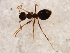  ( - BIOUG00827-E12)  @14 [ ] CreativeCommons - Attribution (2011) CBG Photography Group Centre for Biodiversity Genomics