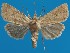  ( - FG114)  @11 [ ] Unspecified (default): All Rights Reserved  Unspecified Unspecified