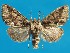  ( - FG124)  @11 [ ] Unspecified (default): All Rights Reserved  Unspecified Unspecified