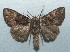  ( - FG129)  @11 [ ] Unspecified (default): All Rights Reserved  Unspecified Unspecified