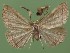  ( - FG013)  @13 [ ] Unspecified (default): All Rights Reserved  Unspecified Unspecified