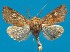  ( - FG137)  @11 [ ] Unspecified (default): All Rights Reserved  Unspecified Unspecified