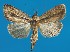  ( - FG140)  @14 [ ] Unspecified (default): All Rights Reserved  Unspecified Unspecified