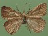  ( - FG015)  @13 [ ] Unspecified (default): All Rights Reserved  Unspecified Unspecified
