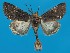  ( - FG152)  @11 [ ] Unspecified (default): All Rights Reserved  Unspecified Unspecified