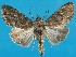  ( - FG153)  @14 [ ] Unspecified (default): All Rights Reserved  Unspecified Unspecified