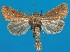  ( - FG157)  @11 [ ] Unspecified (default): All Rights Reserved  Unspecified Unspecified