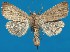  ( - FG159)  @14 [ ] Unspecified (default): All Rights Reserved  Unspecified Unspecified