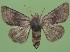 ( - FG167)  @11 [ ] Unspecified (default): All Rights Reserved  Unspecified Unspecified