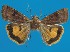  ( - FG177)  @13 [ ] Unspecified (default): All Rights Reserved  Unspecified Unspecified
