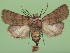  ( - FG194)  @14 [ ] Unspecified (default): All Rights Reserved  Unspecified Unspecified