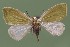  ( - FG204)  @13 [ ] Unspecified (default): All Rights Reserved  Unspecified Unspecified