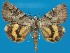  ( - FG023)  @11 [ ] Unspecified (default): All Rights Reserved  Unspecified Unspecified