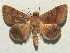  ( - FG025)  @14 [ ] Unspecified (default): All Rights Reserved  Unspecified Unspecified